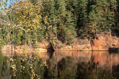 sandstone outcrops on the bank of Brasla river, colorful trees in autumn, bright colors, Latvia, autumn clipart