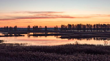 Aşırı gelişmiş ve sel basmış turba tarlaları, bataklık havuzları, kuş yuvaları, Seda bataklığı, Jerceni, Letonya