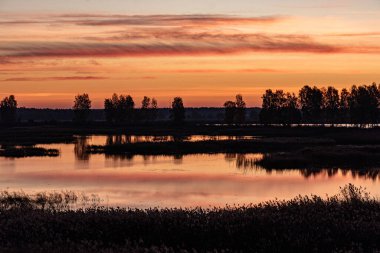 Aşırı gelişmiş ve sel basmış turba tarlaları, bataklık havuzları, kuş yuvaları, Seda bataklığı, Jerceni, Letonya
