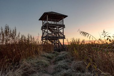 Kuş izleme kulesi olan bir manzara aşırı gelişmiş ve sular altında kalmış turba tarlaları, bataklık havuzları, kuş habitatları, Seda bataklığı, Jerceni, Letonya 'dan oluşan eşsiz bir kültürel manzara.