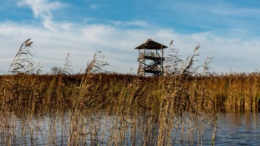 Kuş izleme kulesi olan bir manzara aşırı gelişmiş ve sular altında kalmış turba tarlaları, bataklık havuzları, kuş habitatları, Seda bataklığı, Jerceni, Letonya 'dan oluşan eşsiz bir kültürel manzara.