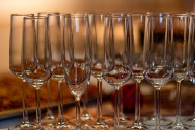 Yaprak dokusunun soyut yakın plan görüntüsü, arka planda su bitkisi, soyut yapı, sonbahar