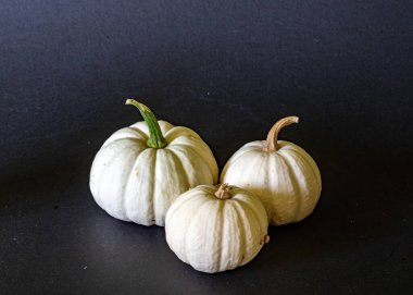 durgun hayat, çeşitli sonbahar sebzeleri, geleneksel hasat, sonbahar