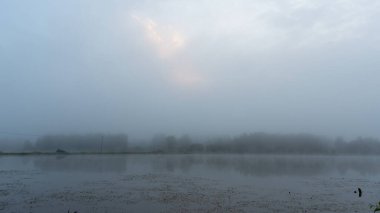 Gölün kıyısındaki sis manzarası, bulanık ağaç siluetleri, çalılar ve bitkiler, sabahları sis, yaz mevsiminde