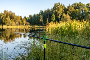 Küçük bir orman gölü olan güzel bir manzara, bir balıkçının göl manzarası, çeşitli balıkçılık özellikleri, sakin bir yaz akşamı.