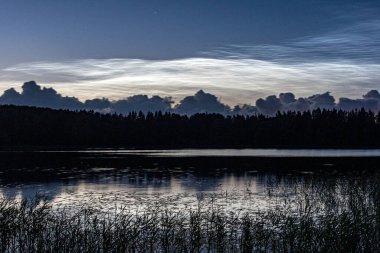 Gümüş bulutlu büyüleyici gece manzarası, gölün üzerinde gümüş bulutlar, arka planda karanlık orman silueti, mezosferik bulutlar, Letonya, Vaidava Gölü