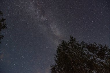 Gökyüzünde yıldızlar olan güzel bir gece manzarası, yıldızlı bir gece, farklı yıldız grupları, yaz