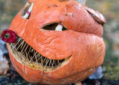 Güzel Cadılar Bayramı balkabağı, oyulmuş balkabağı Cadılar Bayramı kutlaması, sonbahar