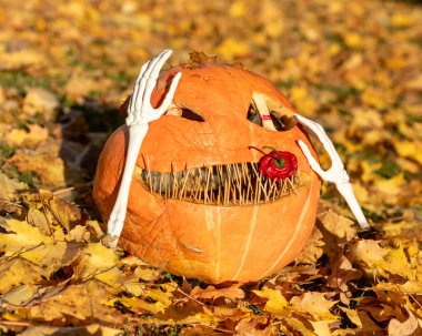 Güzel Cadılar Bayramı balkabağı, oyulmuş balkabağı Cadılar Bayramı kutlaması, sonbahar