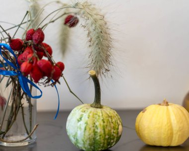 Farklı boyutlarda balkabakları, şekiller ve renkler, sonbahar hasadı, dekoratif balkabakları, sonbahar