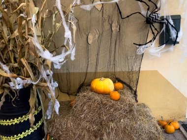 balkabağı süslemeleri, tatil süslemeleri, ağlar ve örümcekler, Cadılar Bayramı 'nı bekliyorlar, ön cephe dekorasyonu, sonbahar