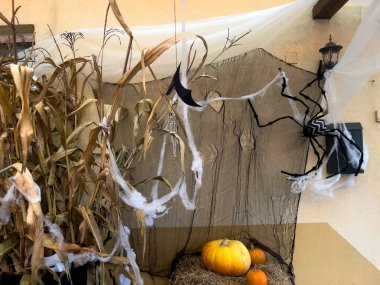 balkabağı süslemeleri, tatil süslemeleri, ağlar ve örümcekler, Cadılar Bayramı 'nı bekliyorlar, ön cephe dekorasyonu, sonbahar