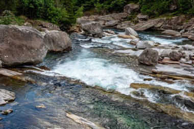 Muhteşem dağ manzarası, görkemli uçurumlar, dağ nehri şelalesi, çayır bitkisi, İsviçre Alpleri, Yaz