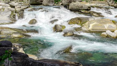Muhteşem dağ manzarası, görkemli uçurumlar, dağ nehri şelalesi, çayır bitkisi, İsviçre Alpleri, Yaz