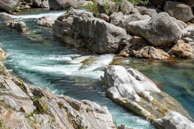 Muhteşem dağ manzarası, görkemli uçurumlar, dağ nehri şelalesi, çayır bitkisi, İsviçre Alpleri, Yaz