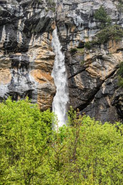 Muhteşem dağ manzarası, görkemli uçurumlar, dağ nehri şelalesi, çayır bitkisi, İsviçre Alpleri, Yaz