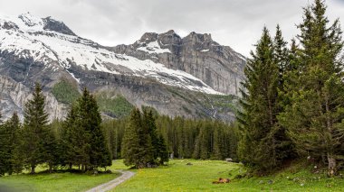 Muhteşem dağ manzarası, görkemli uçurumlar, dağ çayırları, İsviçre Alpleri, Yaz