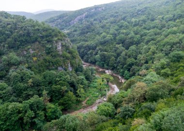 Yazın güzel bir park, parktan çeşitli detaylar, Georgia