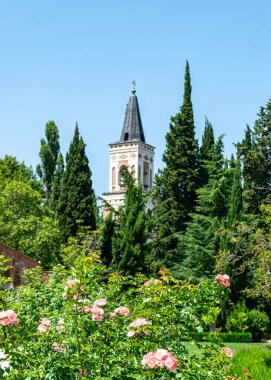 Yazın güzel bir park, parktan çeşitli detaylar, Georgia