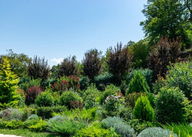 Yazın güzel bir park, parktan çeşitli detaylar, Georgia