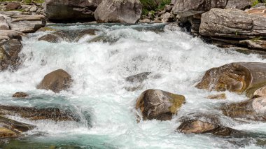Muhteşem dağ manzarası, görkemli uçurumlar, dağ nehri şelalesi, çayır bitkisi, İsviçre Alpleri, Yaz