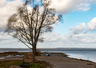 lake shore during a storm, blurred outlines of water, trees and grass, Burtnieki Lake, Latvia clipart