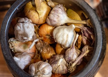 çeşitli sarımsak şekilleri, bulanık arka plan, baharatlı gıda katkı maddeleri, bahçıvan konsepti, sonbahar