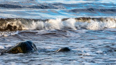 beautiful waves crashing against the seashore, windy day on the rocky shore of Vidzeme, Baltic Sea, Latvia clipart