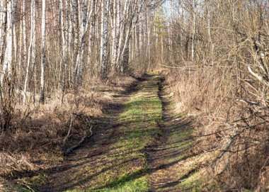 Çamurlu, ıslak bir yolu olan manzara, çamur dokusu, kar kalıntıları, kış yolu