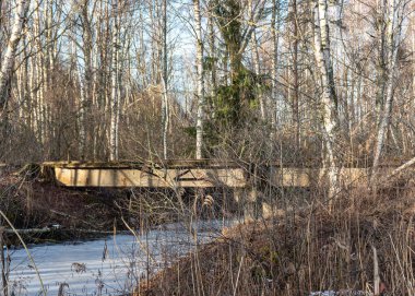 Demiryolu rayları, bataklıktaki tren rayları, Sedas bataklığı, Letonya, kış