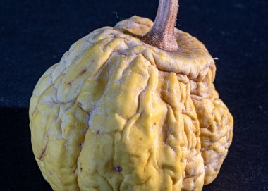 close-up of a decorative pumpkin, withered berry skin, pronounced relief, pumpkin clipart