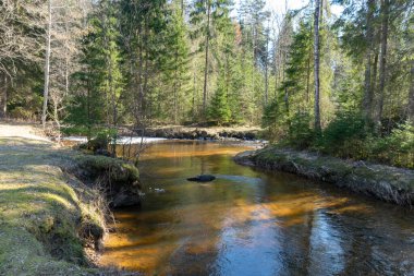 Küçük vahşi bir nehri olan bahar manzarası