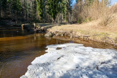 Küçük vahşi bir nehri olan bahar manzarası