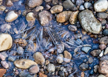 Kayaların etrafında çeşitli buz oluşumları, doğada bahar.
