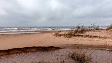 Rüzgarlı havada deniz kıyısı, bulanık dalga tepeleri, deniz kıyısında kış günü