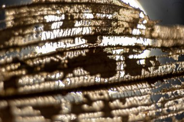 Yaprak dokusunun soyut yakın plan görüntüsü, arka planda su bitkisi, soyut yapı, sonbahar