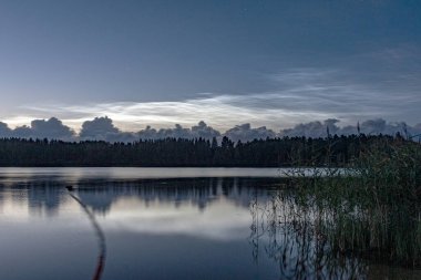 charming night landscape with silver clouds, silver clouds over the lake, dark forest silhouette in the background, mesospheric clouds, Latvia, Lake Vaidava clipart