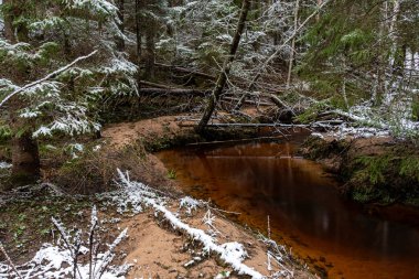 Ormanlı kış manzarası, karla kaplı sihirli ağaçlar, küçük, vahşi nehir, nehrin üzerinde devrilmiş ağaçlar, Letonya