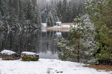 Bir gölü olan kış manzarası, karla kaplı sihirli ağaçlar ve göldeki yansımalar, Letonya 'da muhteşem bir kış günü,