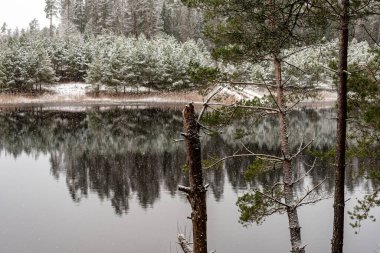 Bir gölü olan kış manzarası, karla kaplı sihirli ağaçlar ve göldeki yansımalar, Letonya 'da muhteşem bir kış günü,