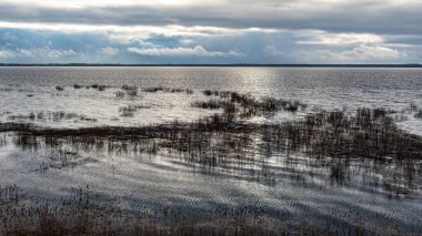 Letonya 'nın sel basmış gölü, bazı yerlerde ince ve hafif buz, yansımalar, Burtnieki Gölü, Letonya