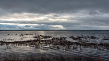Letonya 'nın sel basmış gölü, bazı yerlerde ince ve hafif buz, yansımalar, Burtnieki Gölü, Letonya
