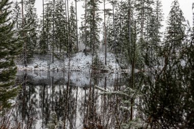 Bir gölü olan kış manzarası, karla kaplı sihirli ağaçlar ve göldeki yansımalar, Letonya 'da muhteşem bir kış günü,