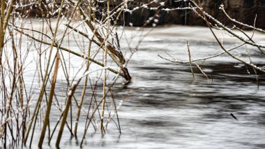Hızlı nehir akışı, bulanık su yüzeyi, bulanık hareket, hızlı nehir akıntısı, Letonya, Staicele yakınlarındaki Salaca nehri, kış