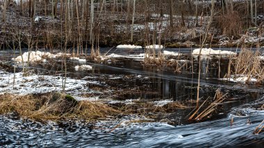 Hızlı nehir akışıyla kış manzarası, bulanık su yüzeyi, bulanık hareket, vahşi nehrin hızlı akışı, Letonya