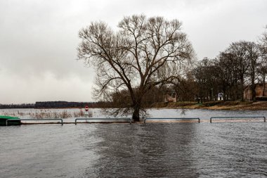 Letonya 'nın sel basmış gölü, bazı yerlerde ince ve hafif buz, yansımalar, Burtnieki Gölü, Letonya