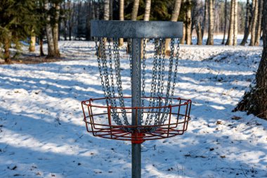 huş ağacında bir golf arabası, ağaçlar ve çimenler buzla kaplı, doğa don ve karla süslenmiş, kış