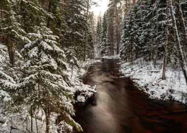 Romantik bir manzara, küçük vahşi bir nehir, büyüleyici bir kış günü, kış