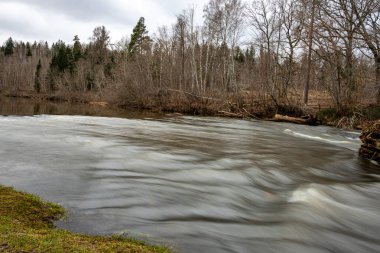 Slow water flow in the river, spring in nature, Abava Valley, Latvia