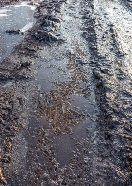 Çamurlu bataklık yolunda soyut donmuş buz dokusu, kış